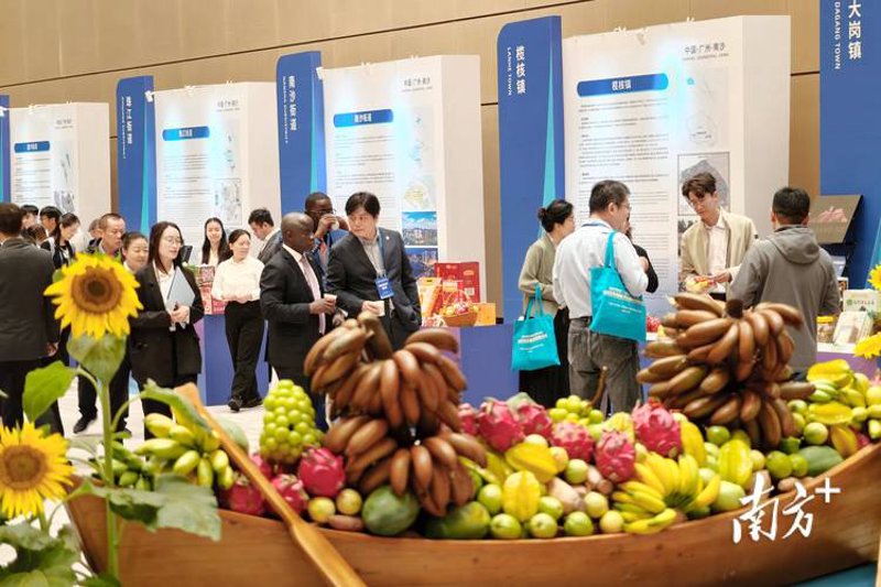 东西贸易：连接全球的桥梁